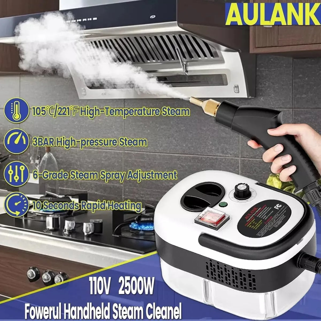 High-temperature pressure steam cleaner
