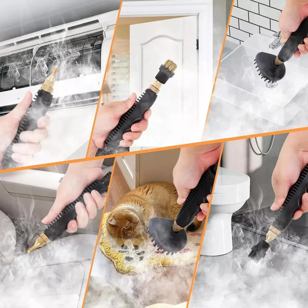 High-temperature pressure steam cleaner